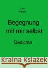 Begegnung mit mir selbst Pelster, Lisa 9783754164433 epubli
