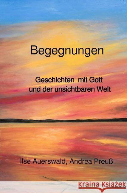 Begegnungen : Geschichten mit Gott und der unsichtbaren Welt Auerswald, Ilse 9783750207615 epubli - książka