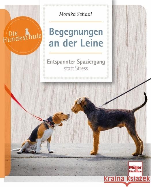 Begegnungen an der Leine Schaal, Monika 9783275022281 Müller Rüschlikon - książka