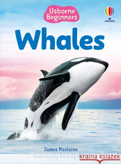 Beginners Whales James Maclaine 9781835409039 Usborne Publishing Ltd - książka