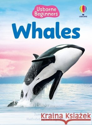 Beginners Whales James MacLaine Sara Ugolotti 9781836052142 Usborne Books - książka
