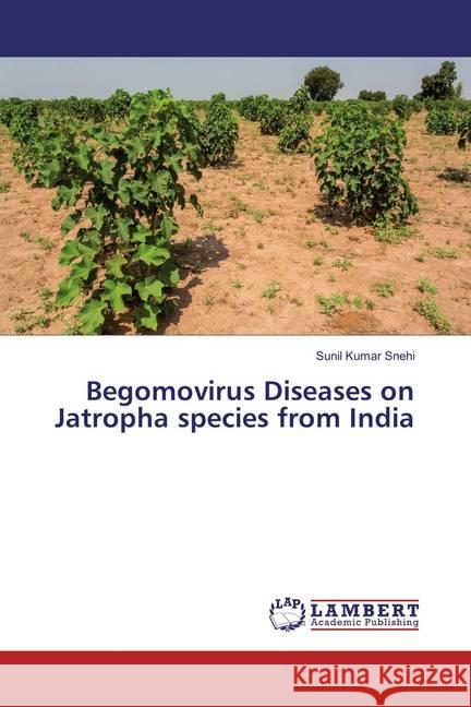 Begomovirus Diseases on Jatropha species from India Snehi, Sunil Kumar 9783659878794 LAP Lambert Academic Publishing - książka