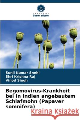 Begomovirus-Krankheit bei in Indien angebautem Schlafmohn (Papaver somnifera) Snehi, Sunil Kumar, Raj, Shri Krishna, Singh, Vinod 9786209177101 Verlag Unser Wissen - książka