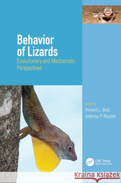 Behavior of Lizards: Evolutionary and Mechanistic Perspectives Vincent Bels Anthony Russell 9781498782722 CRC Press - książka