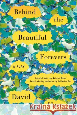 Behind the Beautiful Forevers: A Play David Hare 9780865478350 Faber & Faber - książka