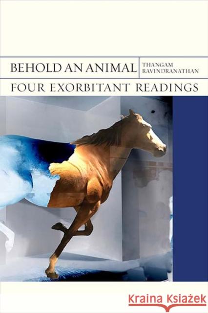 Behold an Animal: Four Exorbitant Readingsvolume 32 Ravindranathan, Thangam 9780810140714 Northwestern University Press - książka