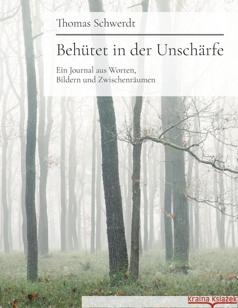 Behütet in der Unschärfe Schwerdt, Thomas 9783384635631 tredition - książka