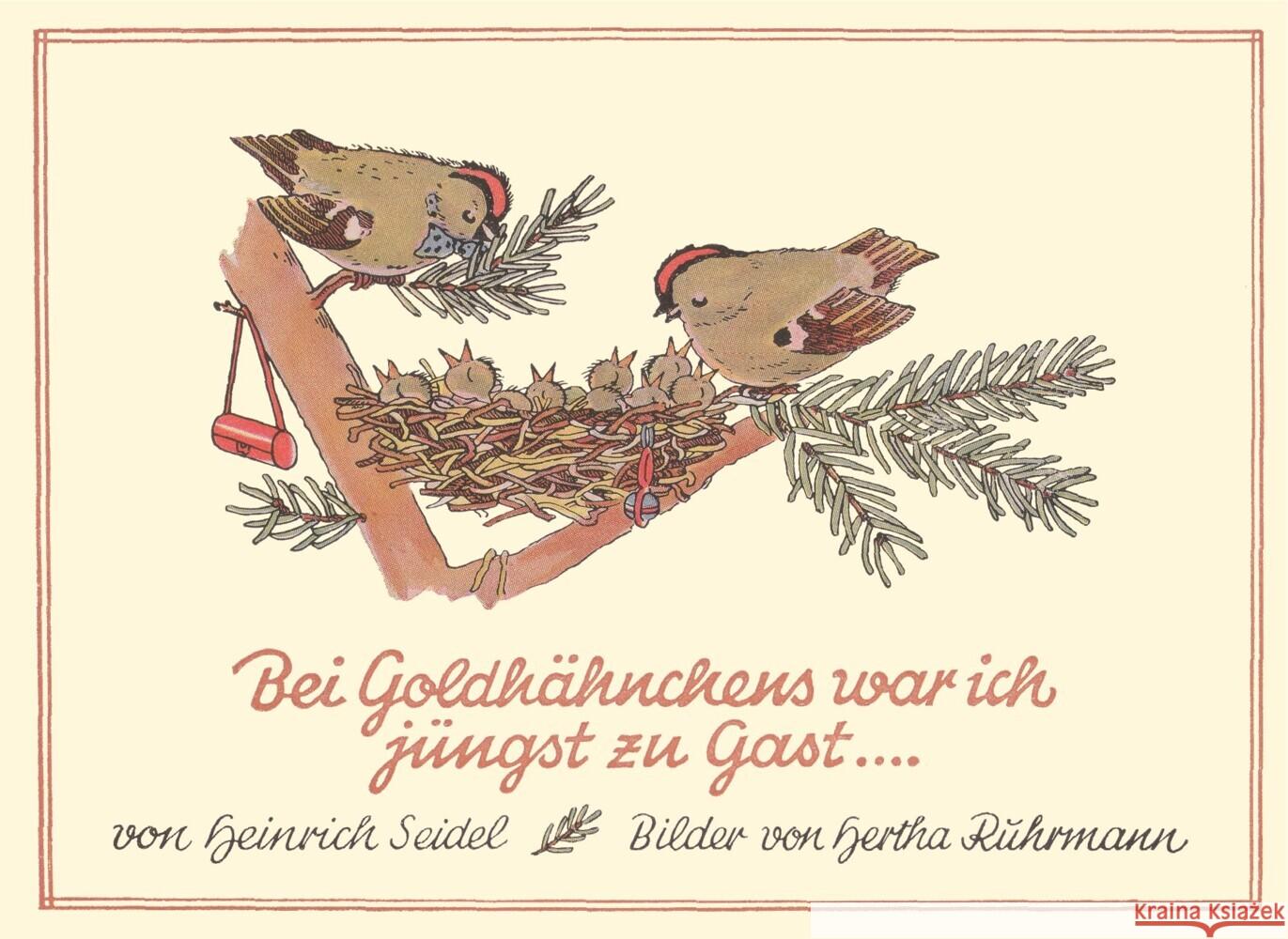 Bei Goldhähnchen war ich jüngst zu Gast ... Seidel, Heinrich 9783940442765 Knabe Verlag Weimar - książka