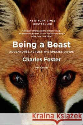 Being a Beast: Adventures Across the Species Divide Charles Foster 9781250132215 Picador USA - książka