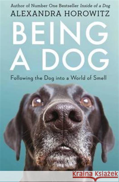 Being a Dog: Following the Dog into a World of Smell Alexandra Horowitz 9781471159923  - książka