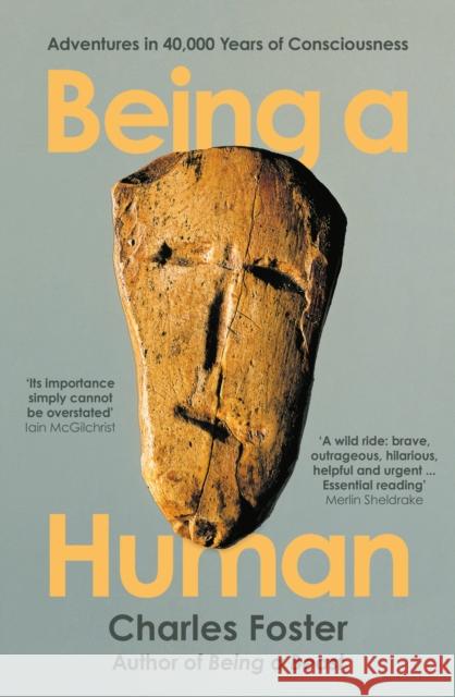 Being a Human: Adventures in 40,000 Years of Consciousness Charles Foster 9781788167185 Profile Books Ltd - książka