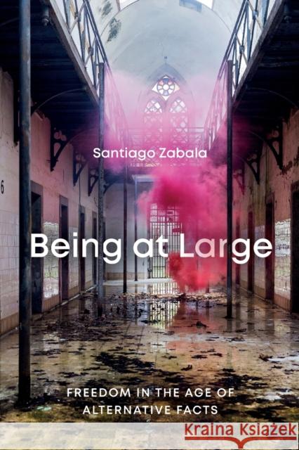 Being at Large: Freedom in the Age of Alternative Facts Santiago Zabala 9780228001928 McGill-Queen's University Press - książka