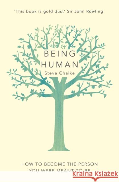 Being Human: How to Become the Person You Were Meant to Be Steve Chalke 9781444789478 Hodder & Stoughton - książka