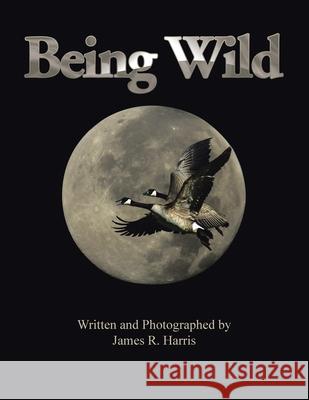 Being Wild James R. Harris 9781441502315 Xlibris Corporation - książka