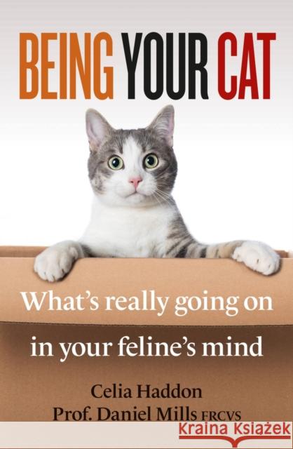 Being Your Cat: What's really going on in your feline's mind Dr Daniel Mills, FRCVS 9781788404051 Octopus Publishing Group - książka