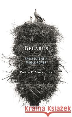 Belarus: Prospects of a Middle Power Peter Murzionak 9781793654915 Lexington Books - książka