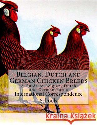 Belgian, Dutch and German Chicken Breeds: A Guide to Belgian, Dutch and German Fowls International Correspondence Schools Jackson Chambers 9781979901512 Createspace Independent Publishing Platform - książka
