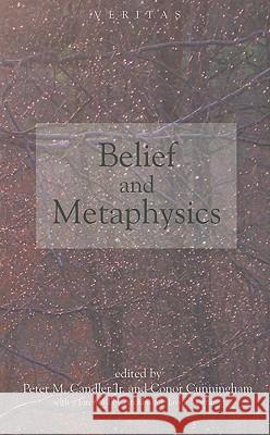 Belief and Metaphysics  9780334041375 SCM PRESS - książka