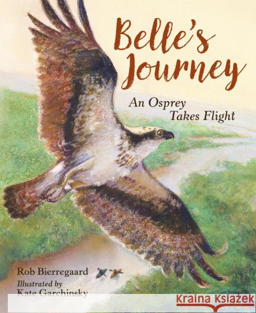 Belle's Journey Kate Garchinsky 9781580897921 Charlesbridge Publishing - książka