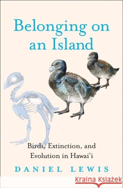 Belonging on an Island: Birds, Extinction, and Evolution in Hawai'i Daniel Lewis 9780300229646 Yale University Press - książka