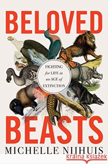 Beloved Beasts: Fighting for Life in an Age of Extinction Michelle Nijhuis 9781324001683 W. W. Norton & Company - książka