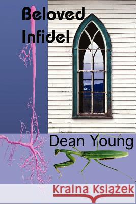 Beloved Infidel Dean Young 9780967600390 Hollyridge Press - książka