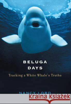 Beluga Days : Tracking a White Whale's Truths Nancy Lord 9781582431512 Counterpoint LLC - książka