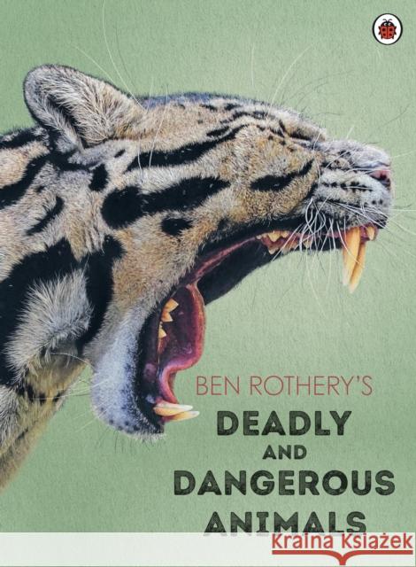 Ben Rothery's Deadly and Dangerous Animals Ben Rothery 9780241532263 Penguin Random House Children's UK - książka