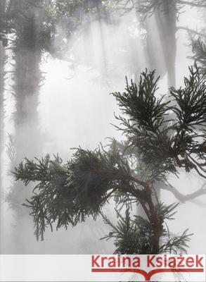 Ben Thorp Brown: Cura's Garden Ben Thorp Brown 9781941753941 Inventory Press - książka