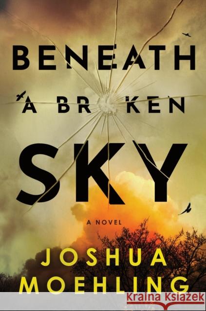 Beneath a Broken Sky: A Novel Joshua Moehling 9781728279046 Poisoned Pen Press - książka