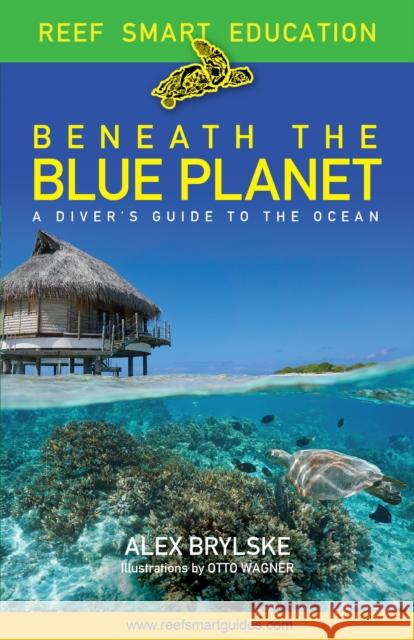 Beneath the Blue Planet: A Diver's Guide to the Ocean and Its Conservation Otto Wagner 9781684812165 Yellow Pear Press - książka