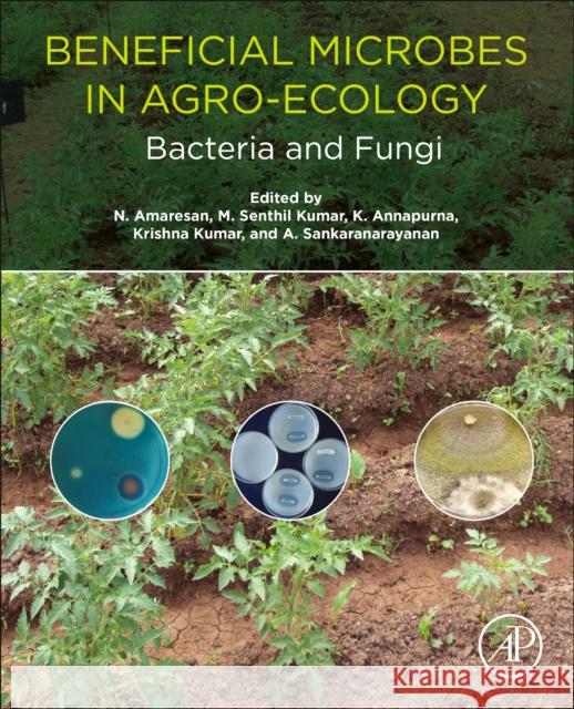 Beneficial Microbes in Agro-Ecology: Bacteria and Fungi N. Amaresan M. Senthi K. Annapurna 9780128234143 Academic Press - książka