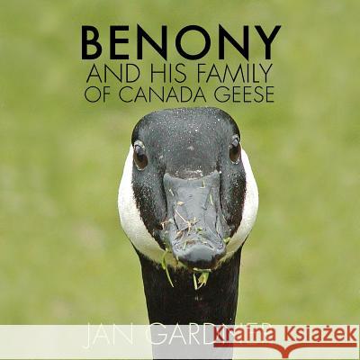 Benony and His Family of Canada Geese Jan Gardner 9781508677857 Createspace - książka