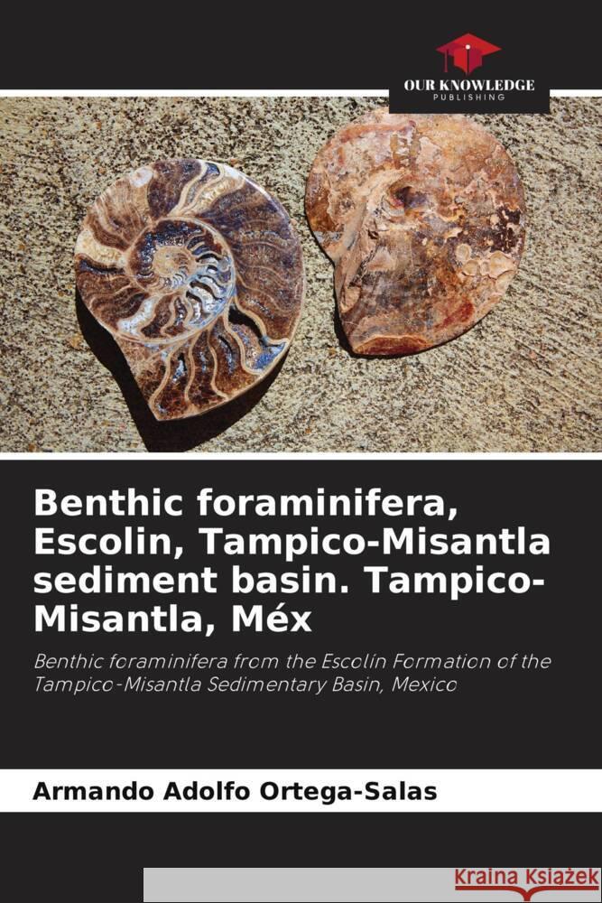 Benthic foraminifera, Escolin, Tampico-Misantla sediment basin. Tampico-Misantla, M?x Armando Adolfo Ortega-Salas 9786206992479 Our Knowledge Publishing - książka