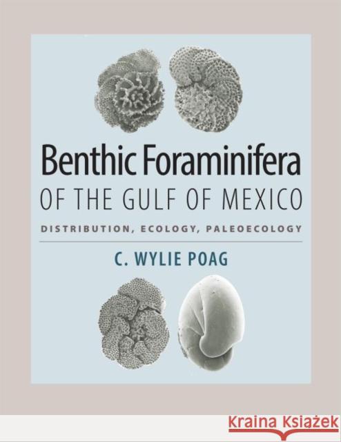 Benthic Foraminifera of the Gulf of Mexico: Distribution, Ecology, Paleoecology C. Wylie Poag 9781623491956 Texas A&M University Press - książka