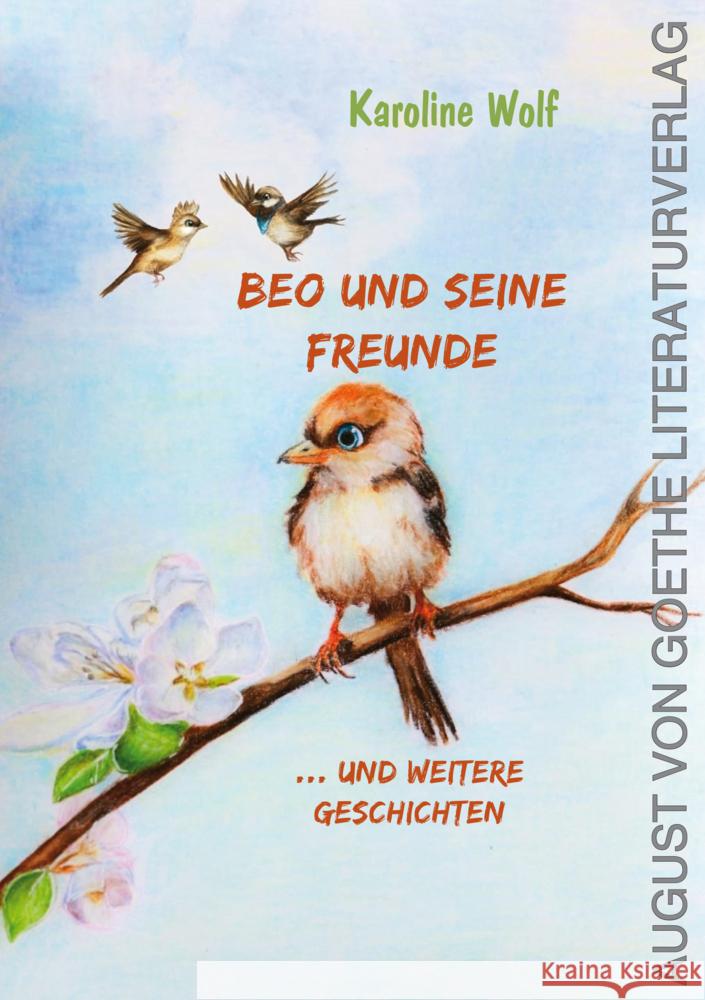 Beo und seine Freunde Wolf, Karoline 9783837227574 Frankfurter Literaturverlag - książka