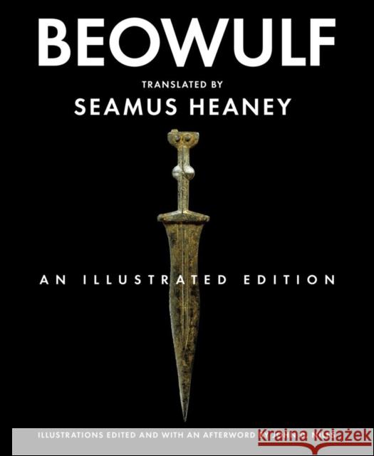 Beowulf: An Illustrated Edition  9780393330106  - książka