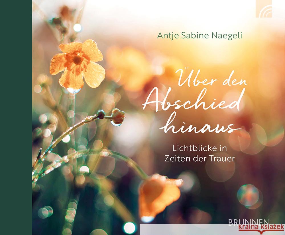 Über den Abschied hinaus Naegeli, Antje Sabine 9783765533228 Brunnen Verlag GmbH - książka