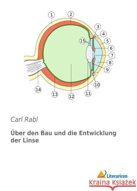 Über den Bau und die Entwicklung der Linse Rabl, Carl 9783956973994 Literaricon - książka