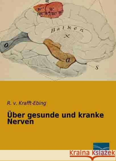 Über gesunde und kranke Nerven v. Krafft-Ebing, R. 9783956924200 Fachbuchverlag-Dresden - książka