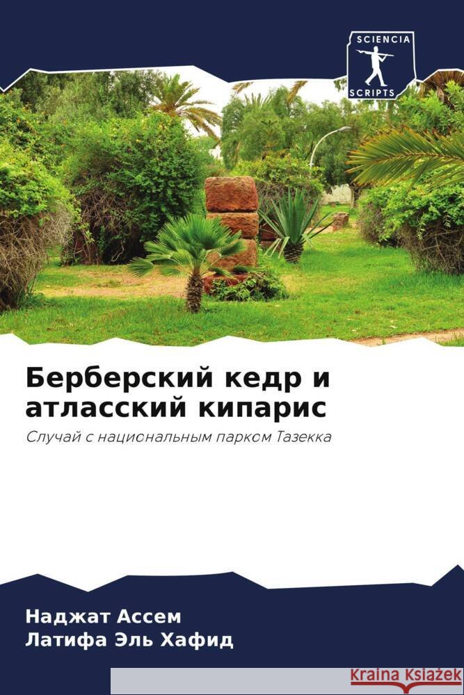 Berberskij kedr i atlasskij kiparis Assem, Nadzhat, Jel' Hafid, Latifa 9786205958490 Sciencia Scripts - książka