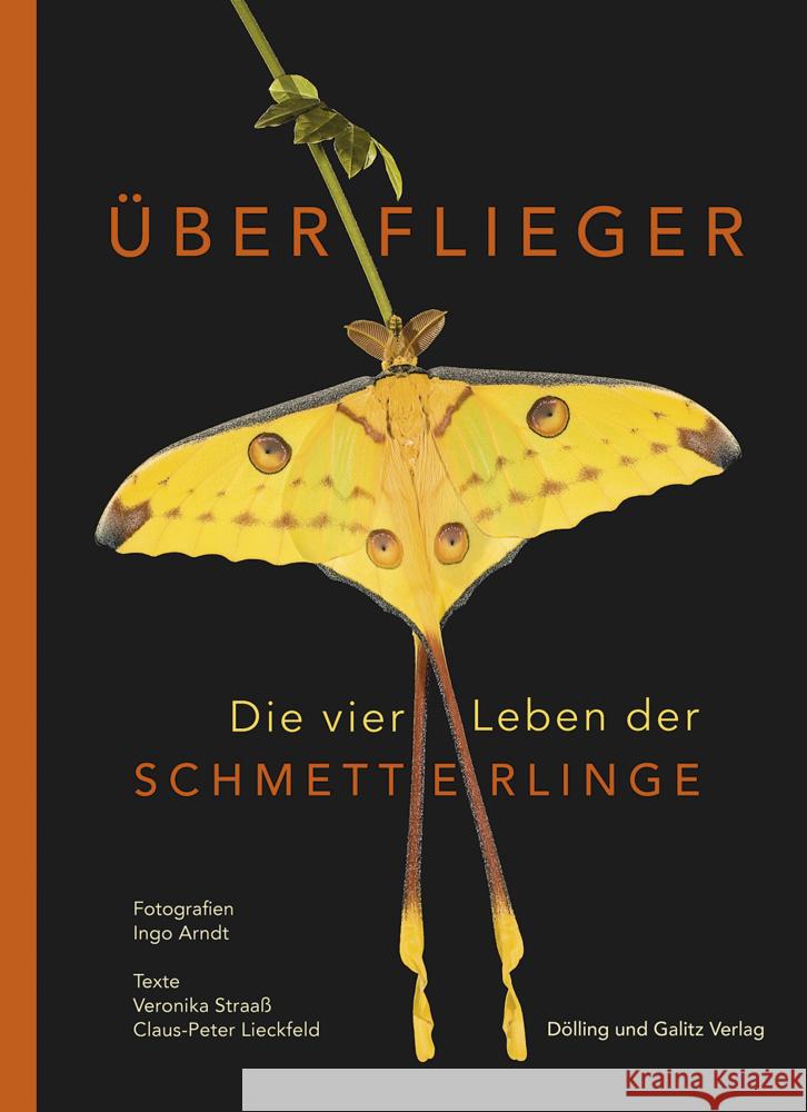 Überflieger. Die vier Leben der Schmetterlinge Straaß, Veronika, Lieckfeld, Claus-Peter 9783862181506 Dölling & Galitz - książka