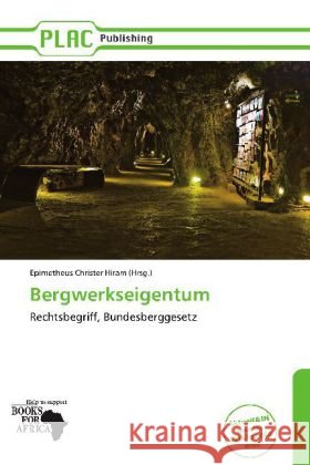 Bergwerkseigentum  9786138530541 PlacPublishing - książka