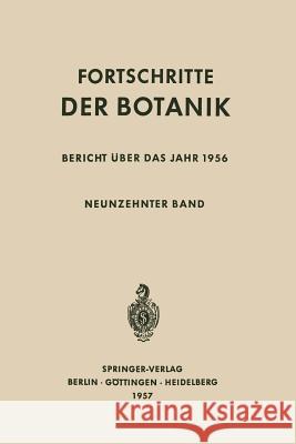 Bericht Über Das Jahr 1956 Lüttge, Ulrich 9783642946905 Springer - książka