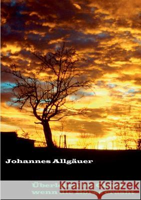 Überleben im Chaos wenn die Börse crasht Johannes Allgauer 9783734761171 Books on Demand - książka