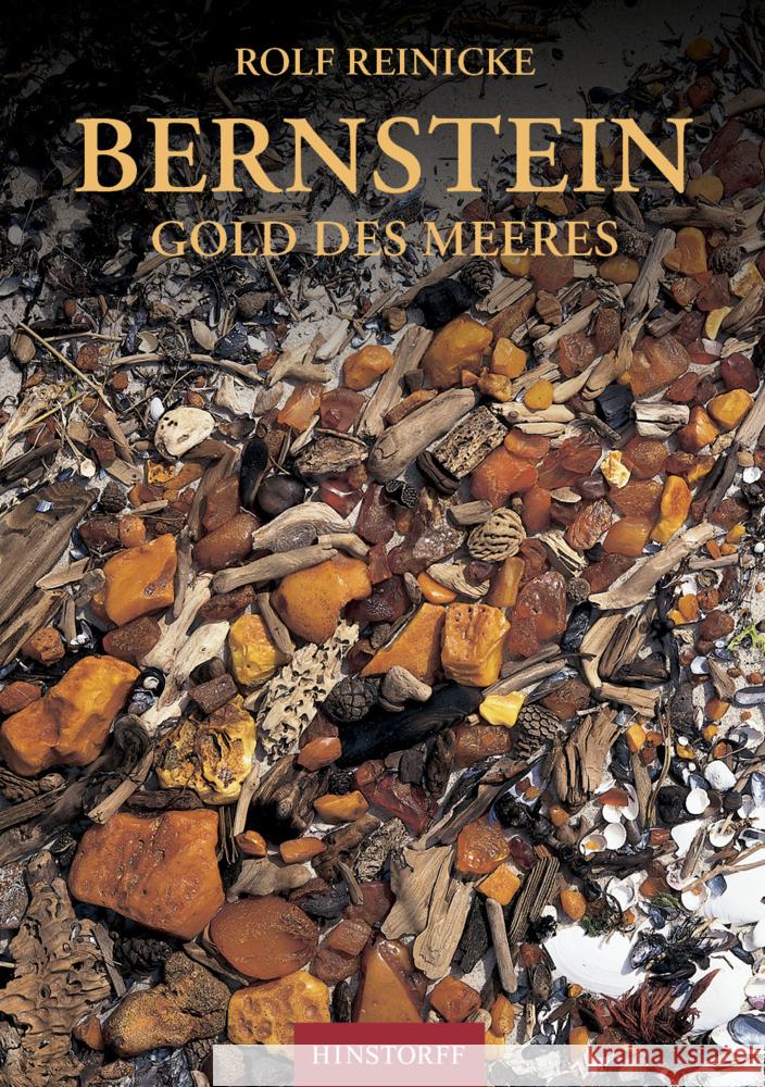 Bernstein Reinicke, Rolf 9783356025187 Hinstorff - książka