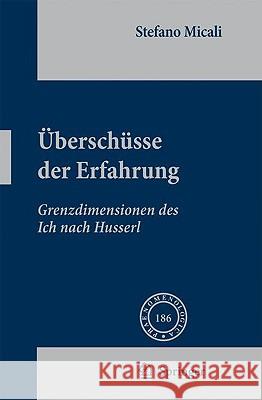 Überschüsse Der Erfahrung: Grenzdimensionen Des Ich Nach Husserl Micali, Stefano 9781402083884 Springer - książka