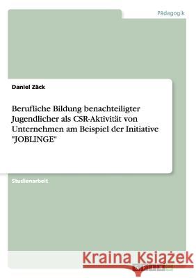 Berufliche Bildung benachteiligter Jugendlicher als CSR-Aktivität von Unternehmen am Beispiel der Initiative 