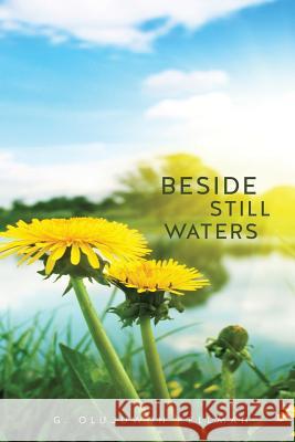Beside Still Waters G Olujuwon Kellman 9781626974258 Xulon Press - książka