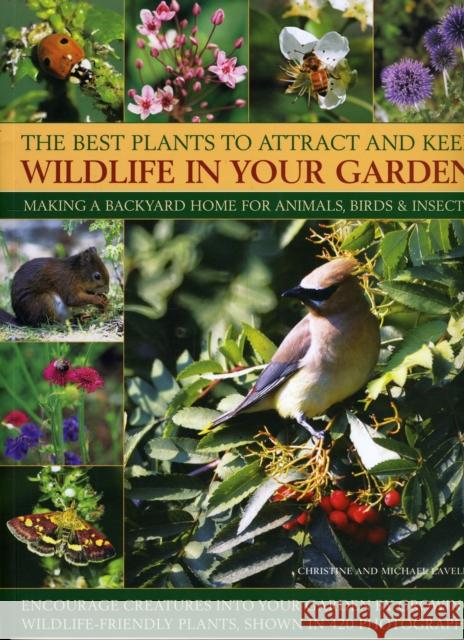 Best Plants to Attract and Keep Wildlife in the Garden Christine Lavelle 9781844769650 Anness Publishing - książka